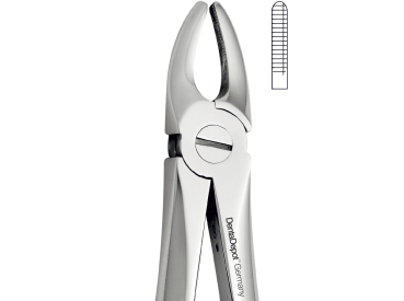 Extracting Forceps, English Pattern, Upper laterals and canines