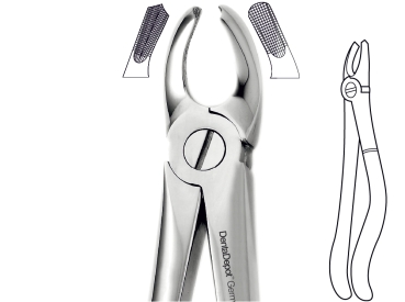 Extracting Forceps, English Pattern, Upper molars, left