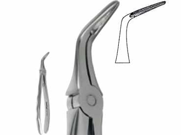 Extracting Forceps, Anatomic handle, Lower roots