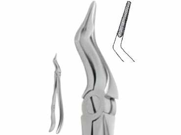 Extracting Forceps, Anatomic handle, Upper roots