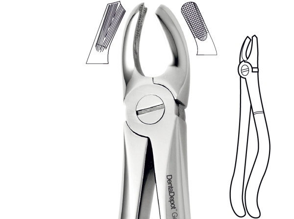 Extracting Forceps, English Pattern, Upper molars, right